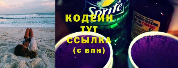 мдпв Каменногорск
