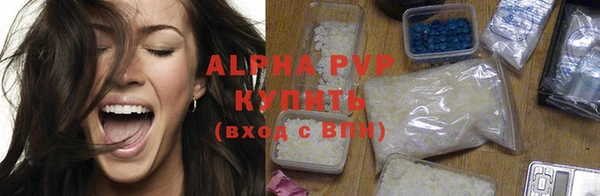 мдпв Каменногорск