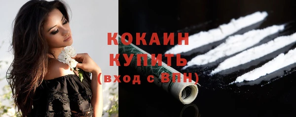 spice Каменка