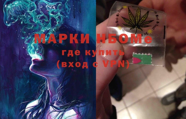 spice Каменка