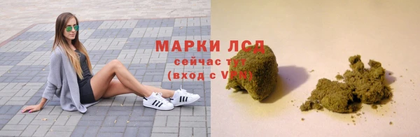 spice Каменка
