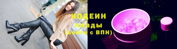 мдпв Каменногорск