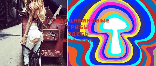 Альфа ПВП Каменск-Шахтинский