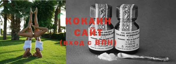 spice Каменка