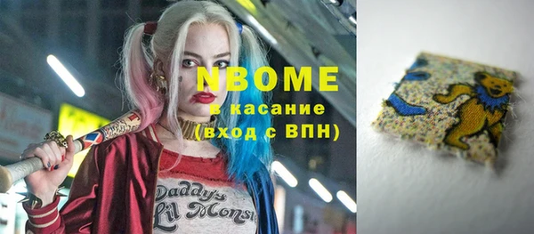 мдпв Каменногорск