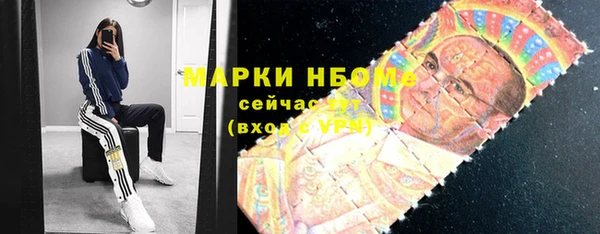 spice Каменка