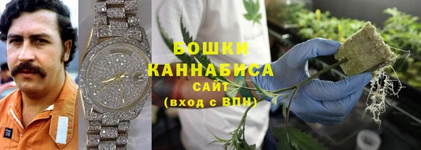 мдпв Каменногорск