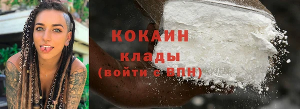 мдпв Каменногорск